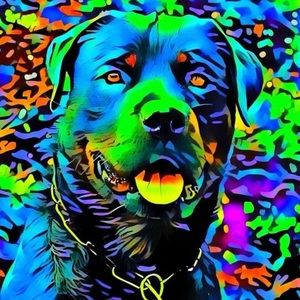 Meet your Posher, Zack